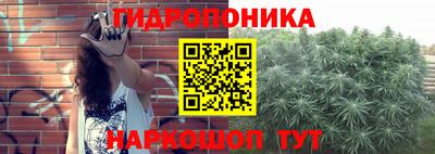 не бодяженный Можга